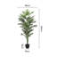 160 cm H Faux Plant in Plastic