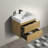 Cordarius 24'' Single Bathroom Vanity with Solid Surface Top