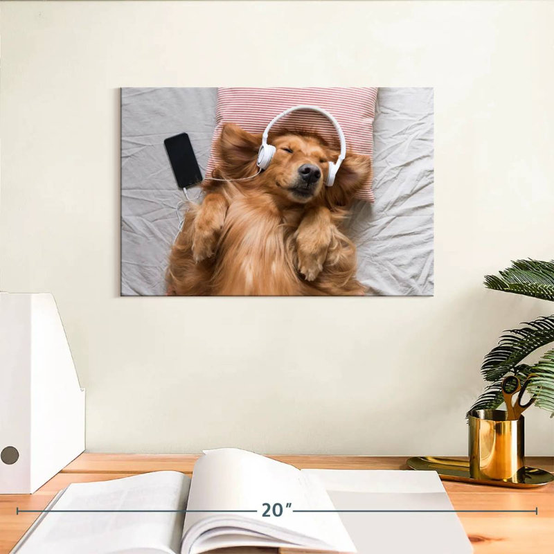 Golden retriever de Brampt, H 8 po x l 12 po