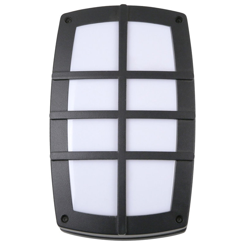 Asner LED Wall Light