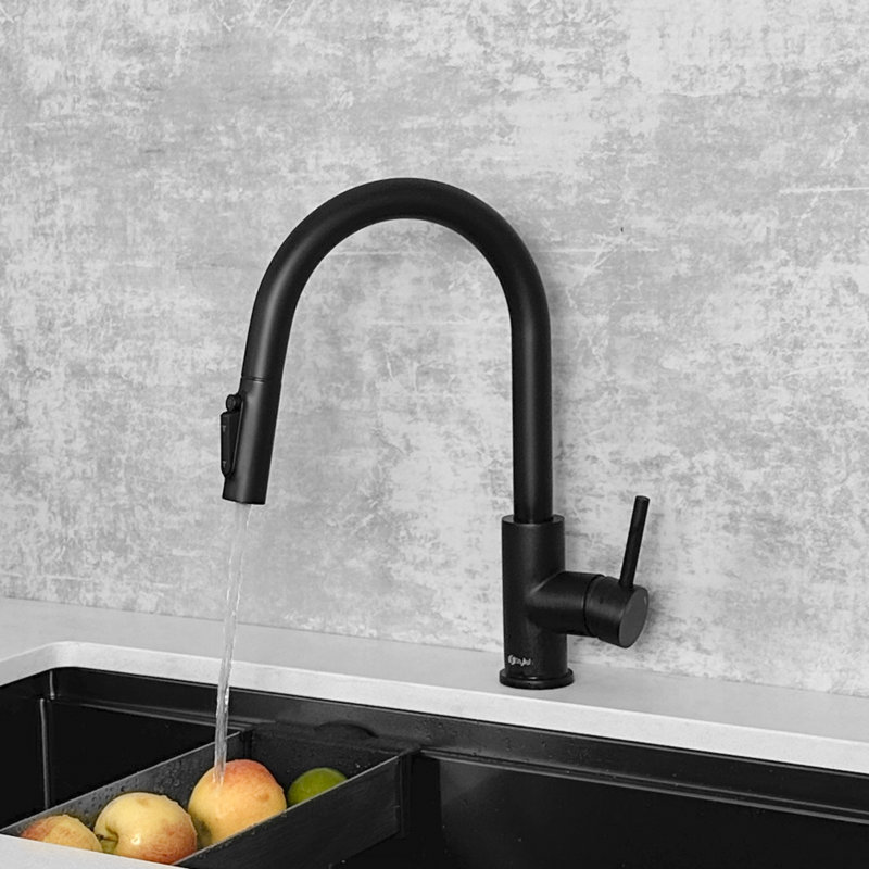 Robinet de cuisine élégant à poignée simple avec osmose réversible Modena, Noir mat