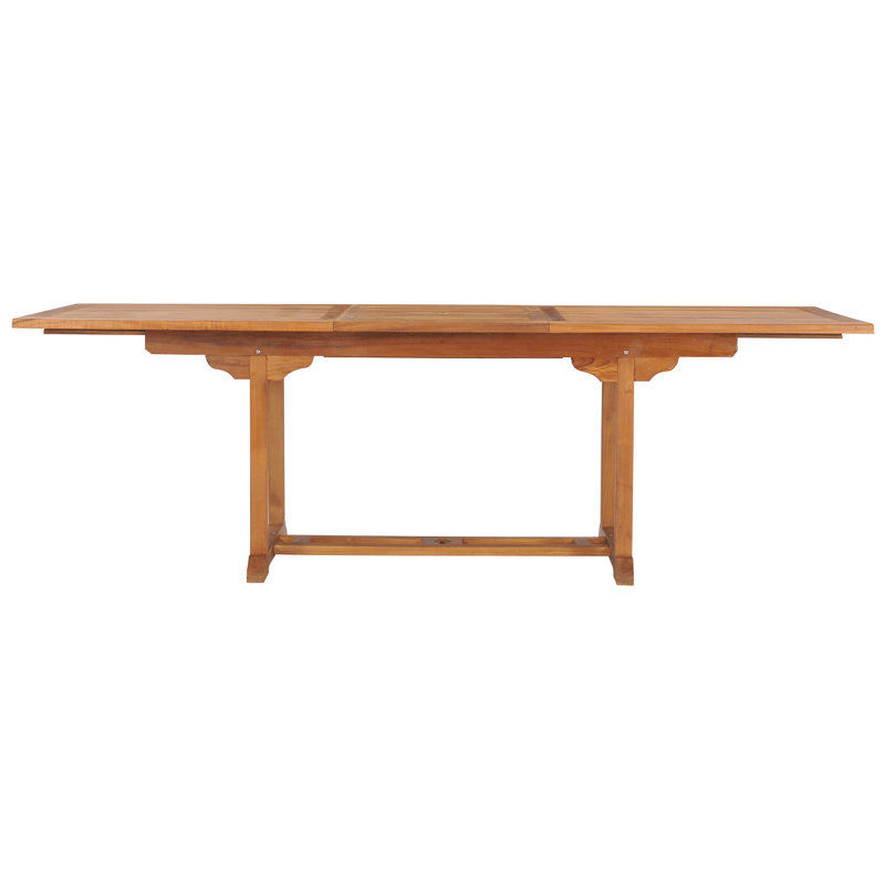 Anquinetta Outdoor 9 - Piece Teak Dining Set with Cushions