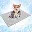 PET - B3022C Nylon rafraîchissant-95187681-95187685