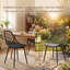 Plastic Dining Chair