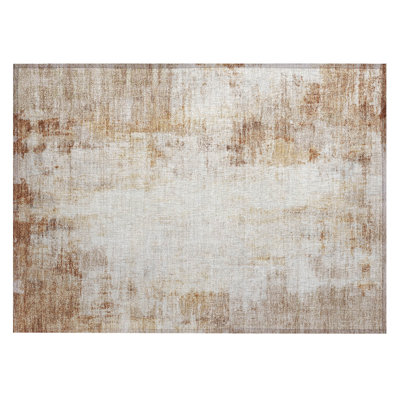 Machine Washable Indoor/Outdoor Eva ACN2171 Modern Rug