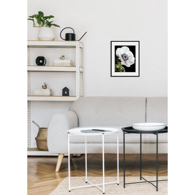 Flower - Single Picture Frame Print