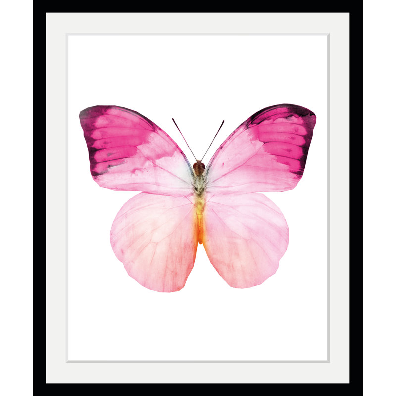 Butterfly - Single Picture Frame Print