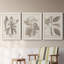 Ensemble de 3 cadres photo sur toile Midnight Tulip V-981462662-981462679