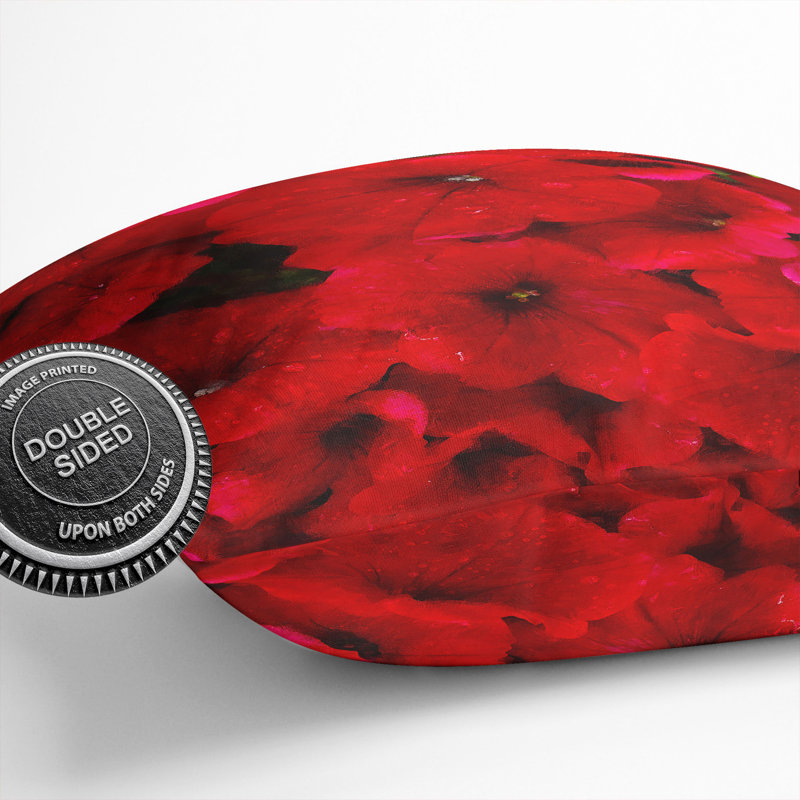 Seeing Red Flowers Scatter Cushion with Filling, 55cm H x 55cm W x 20cm D