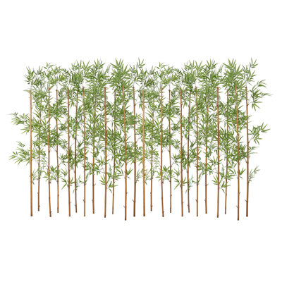Adcock Bamboo Hedge