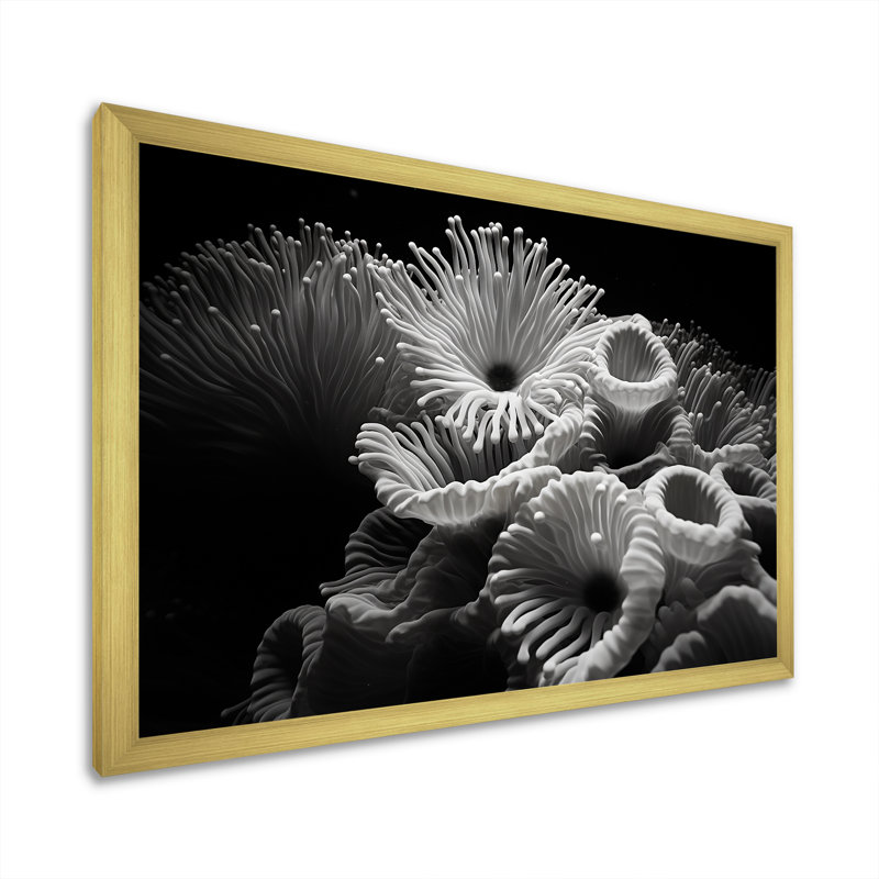 «Black and White Anemoner Color», reproduction d'art sur toile, Cadre doré simple, H 12 po x l 20 po x P 1 po