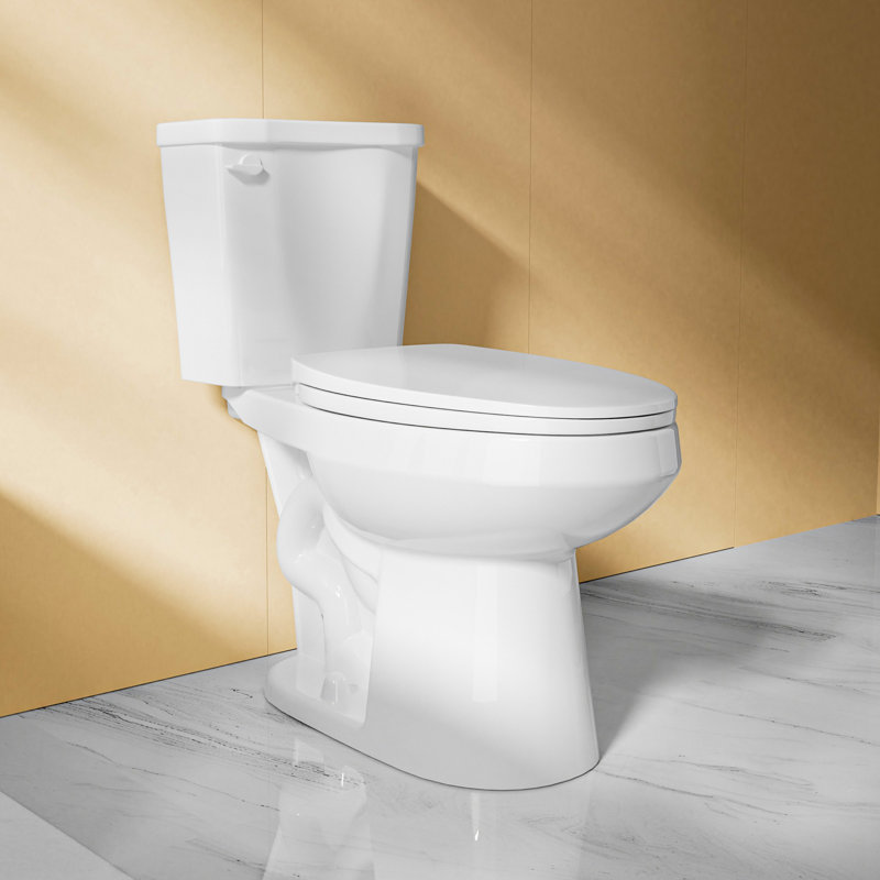 Toilette allongée 2 pièces 17,5 po de hauteur 17,5 po ADA pour personnes âgées, 1,28 GPF à chasse d'eau blanche, carte à chasse 1000g avec siège à fermeture douce