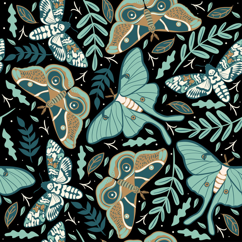 Coleraine Moths On A Dark Background by Ekaterina Zirina - Wrapped Canvas Print, 76cm H x 76cm W 3.8cm D