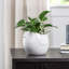 Pot à fleurs en céramique brillant pour oiseaux de 4 po Zygi (blanc)-673452330