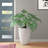 Elbe Handmade Pot Planter-307928433-307928436