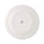 10.5" Dinner Plates, Set of 4
