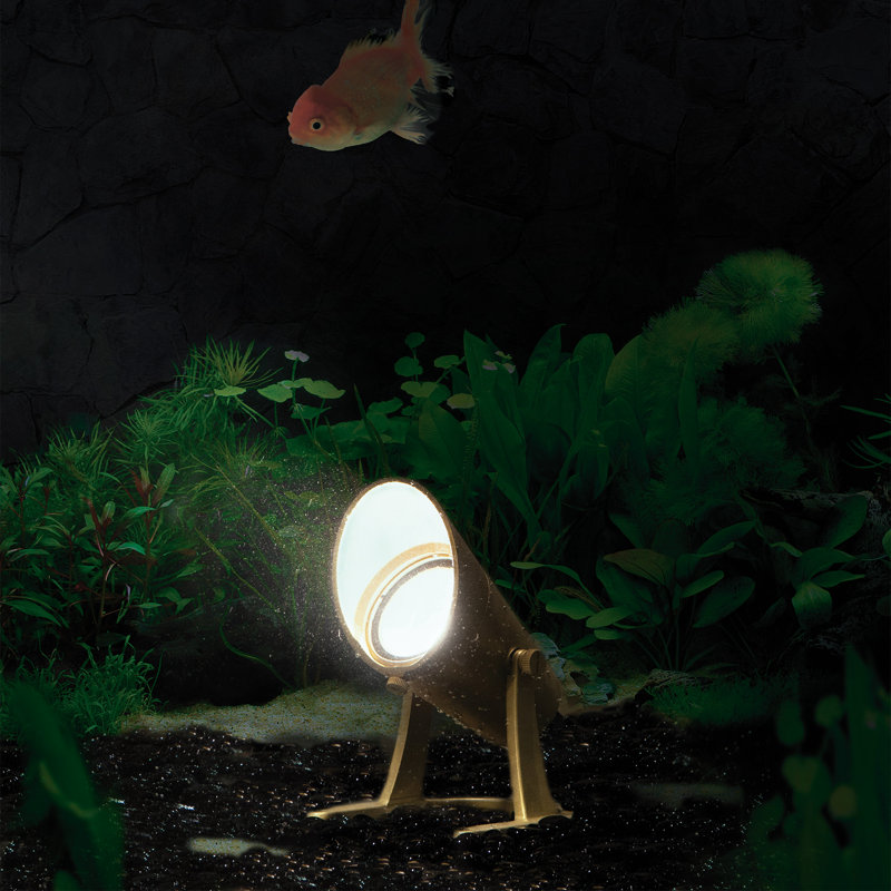 Ensemble de projecteur à DEL basse tension en laiton naturel