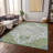 Machine Washable Indoor/Outdoor Chayden ACN985 Rug-99068430