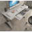 Anisty Metal Base Writing Desk