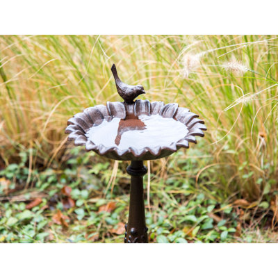 BLACKBIRD Iron Birdbath