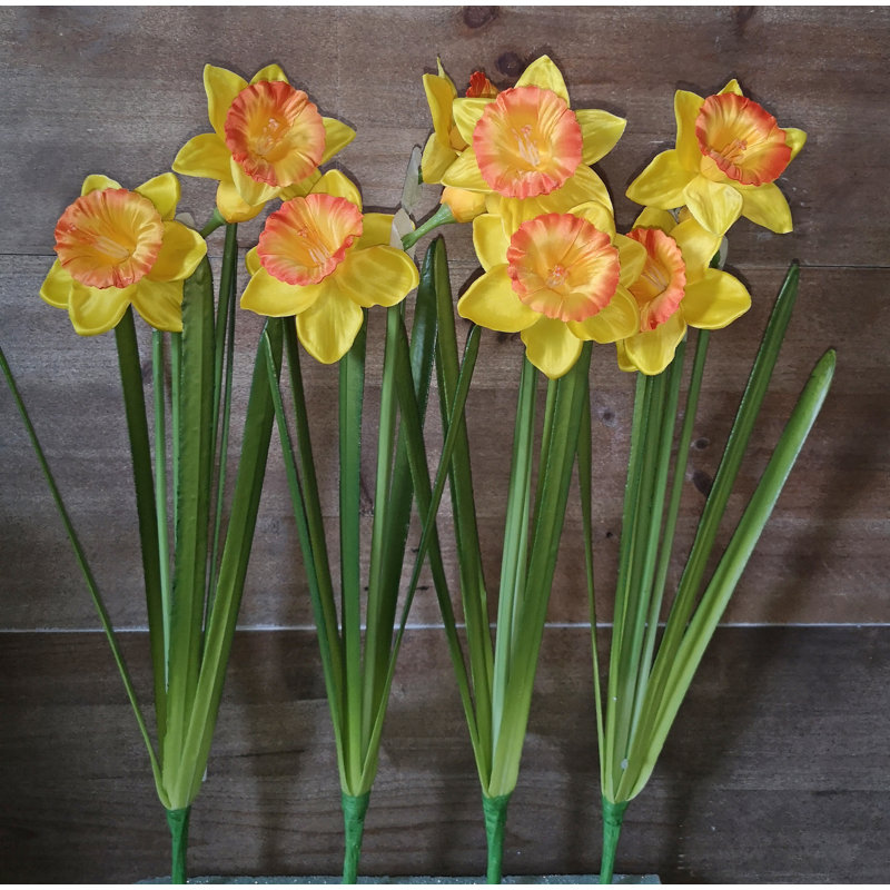 Arrangement floral jonquille, Orange