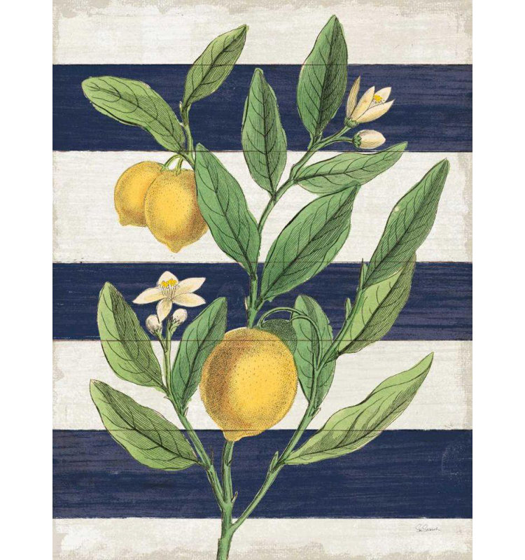 «Lark Manor ™», art sur toile tendue par la galerie Sue: Classic Citrus V Navy Shiplap, H 47 po x l 36 po