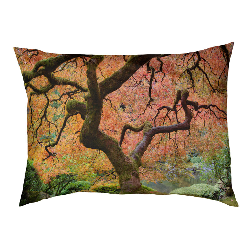 Coussin de designer de l’arbre d’érable japaneses Burkey, L 32,5 po x l 42,5 po, Orange / Noir