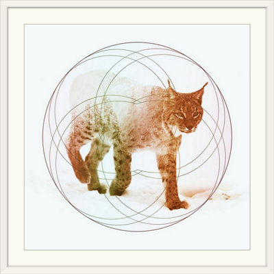 «Double Exposure Wildlife Lynx», reproduction d'impression