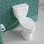 Toilette allongée 17 po ADA