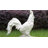 Chicken Garden Statue