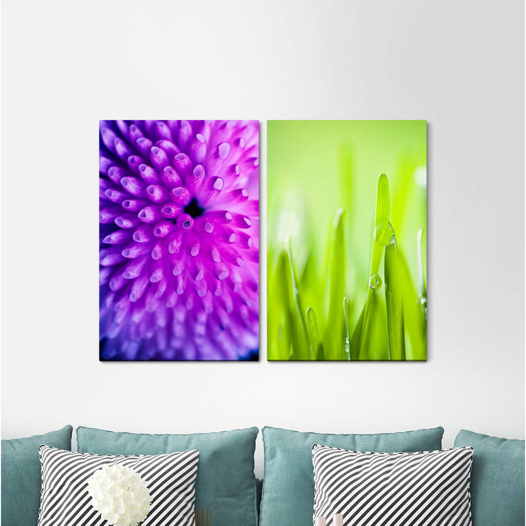 2-tlg. Leinwandbilder-Set - Fotografie „Coral Underwater Morning Dew Grass Green”