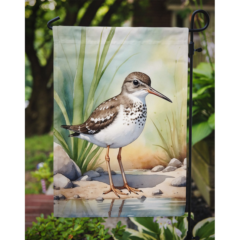 Drapeau de jardin Surfbird Bird, Bécasseau tacheté