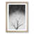 Oak Framed selected