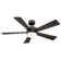 Wynd 5 - Blade Outdoor /Indoor Smart Ceiling Fan with Remote Control and LED Light Kit Included