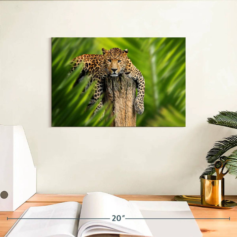 Brampt Jungle Leopard