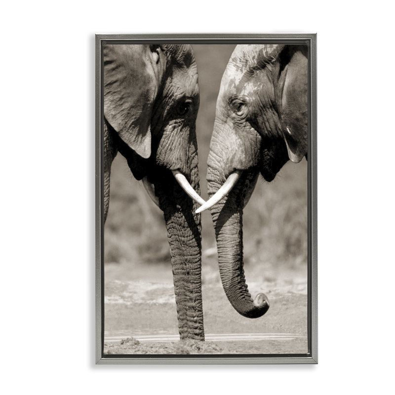 Paire d'éléphants réconfortants, H 31 po x l 21 po, Cadre flottant gris lustré