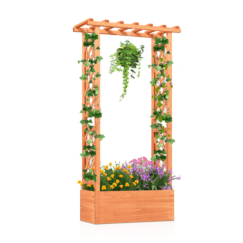 Boîte à fleurs surélevée avec treillis latéral et supérieur pour plantes grimpantes