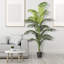 Faux Palm Tree in Pot-261391350