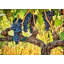 Shaded On The Vine Print by Nathan Turner
