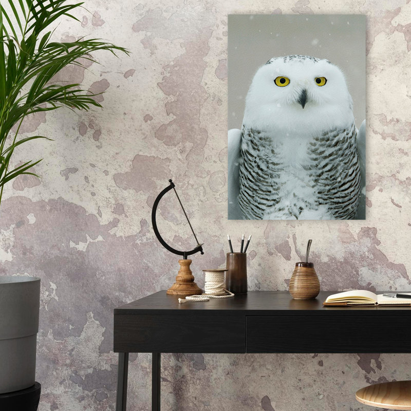 Snowy Owl Eyes - photographie animaux, chouettes, art, H 24 po x l 16 po