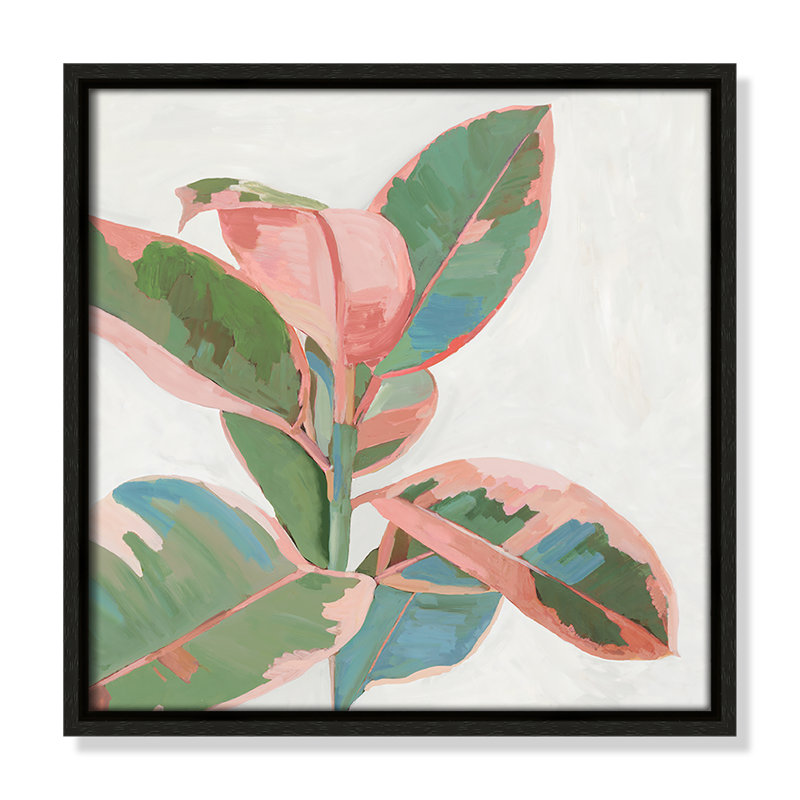 Ficus rose I - reproduction d'art, H 13,5 po x l 13,5 po x P 2 po, Toile avec cadre espresso