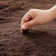 Plush Fluffy Carpet Rug in Brown – Warm & Durable