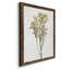 «Farmhouse Pressed Flower II», peinture sur toile encadrée-1144581446-1144581496