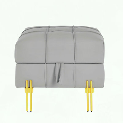 Pet-Friendly Storage Ottoman with Stainless Steel Legs