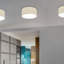 Aulelei Flush Mount-1819248898