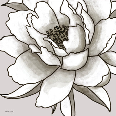 Macro Peony Sketch I by Elizabeth Tyndall