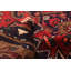 Tapis rouge Cavazos 4 pi 7 po x 8 pi 2 po