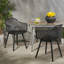 Chaise coquelicot (ensemble de 2) | L 21,9 po x l 21,9 po x H 32,0 po | Polypropylène | 2 pièces | Noir | Sièges confortables