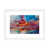 Blanc sélectionné
