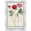 Red And Pink Peony Botanical Study by Oliver Gal-68916642-68916644
